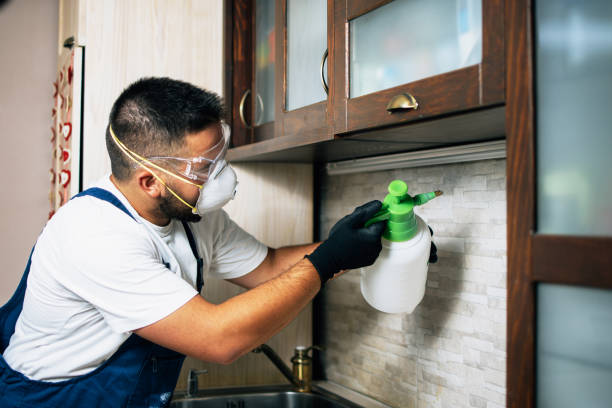 Best Pest Removal Services  in Webb City, MO