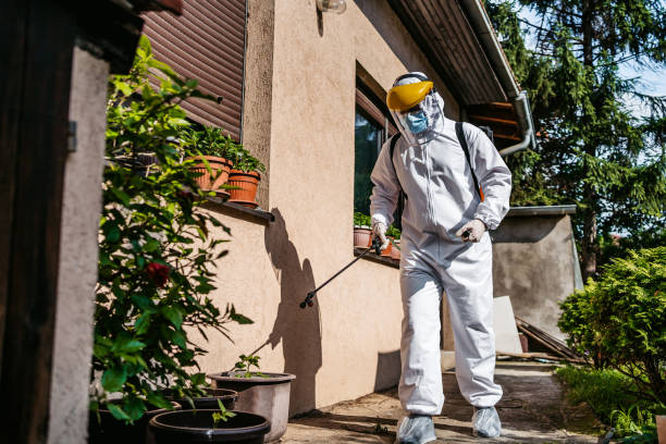 Best Bed Bug Extermination  in Webb City, MO