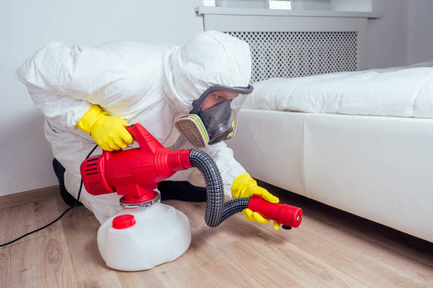 Best Commercial Pest Control Services  in Webb City, MO