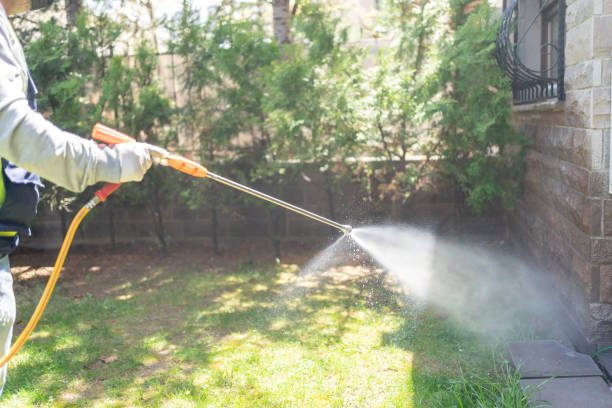 Best Mosquito Control Services  in Webb City, MO