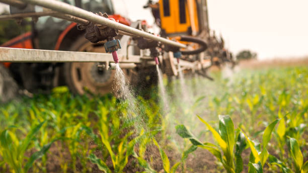Best Commercial Pest Control Services  in Webb City, MO